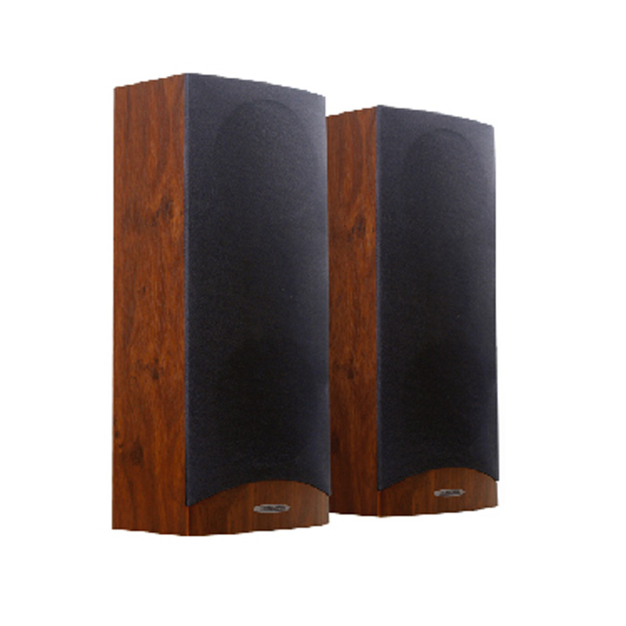 �W�j�ڒ�����-DSP224N